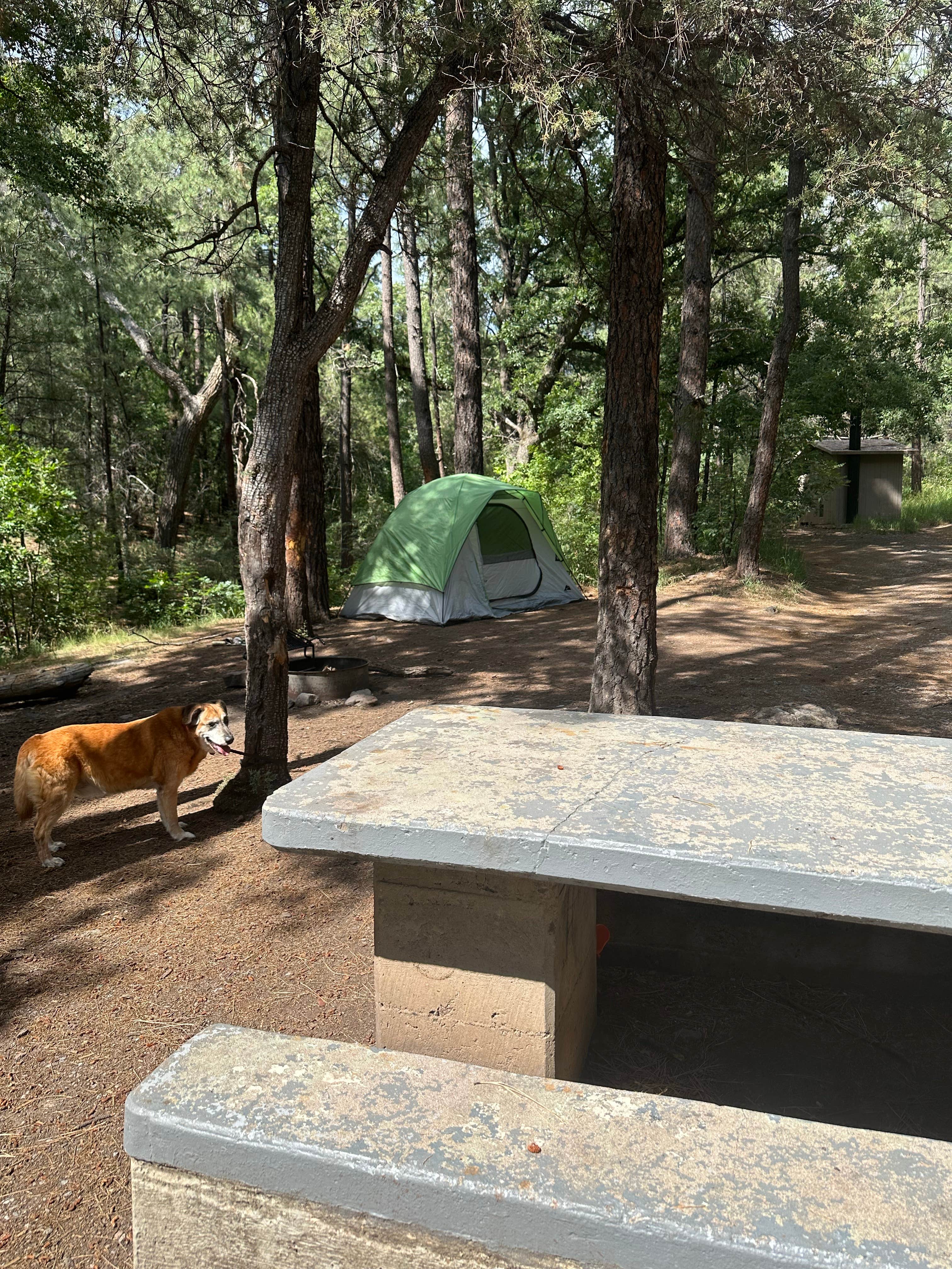 Camper-submitted photo at Cherry Creek Campground near Arenas Valley, NM