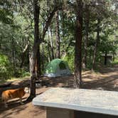 Review photo of Cherry Creek Campground by Jacob  W., July 23, 2023