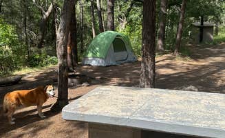 Jacob W.'s photo at Cherry Creek Campground near Cliff, NM