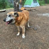 Review photo of Cherry Creek Campground by Jacob  W., July 23, 2023