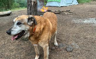 Jacob W.'s photo at Cherry Creek Campground near Cliff, NM