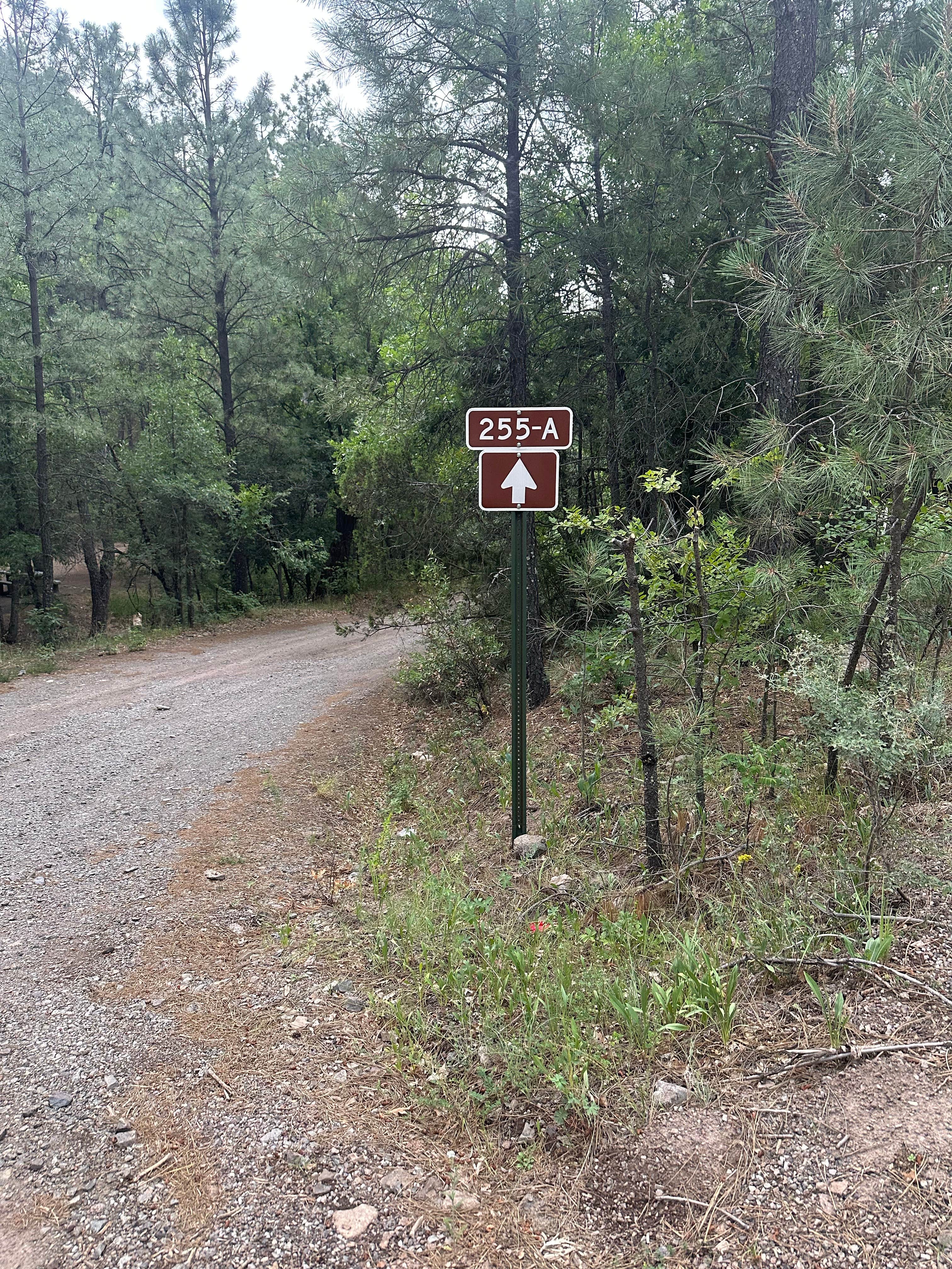 Camper-submitted photo at Cherry Creek Campground near Arenas Valley, NM