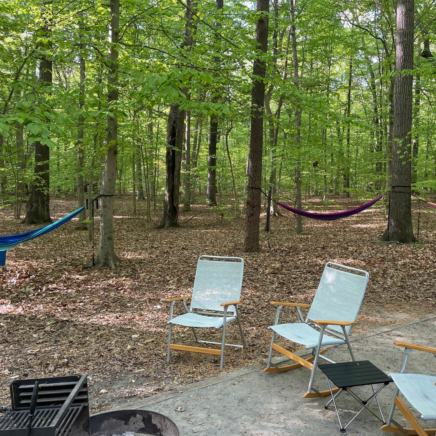 Tuckahoe State Park Campground | Queen Anne, MD