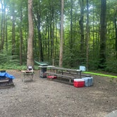 Review photo of Kentuck Campground — Ohiopyle State Park by Terry K., July 24, 2023