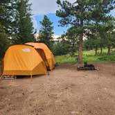 Review photo of Forest Road 332 Dispersed by Steph P., July 24, 2023