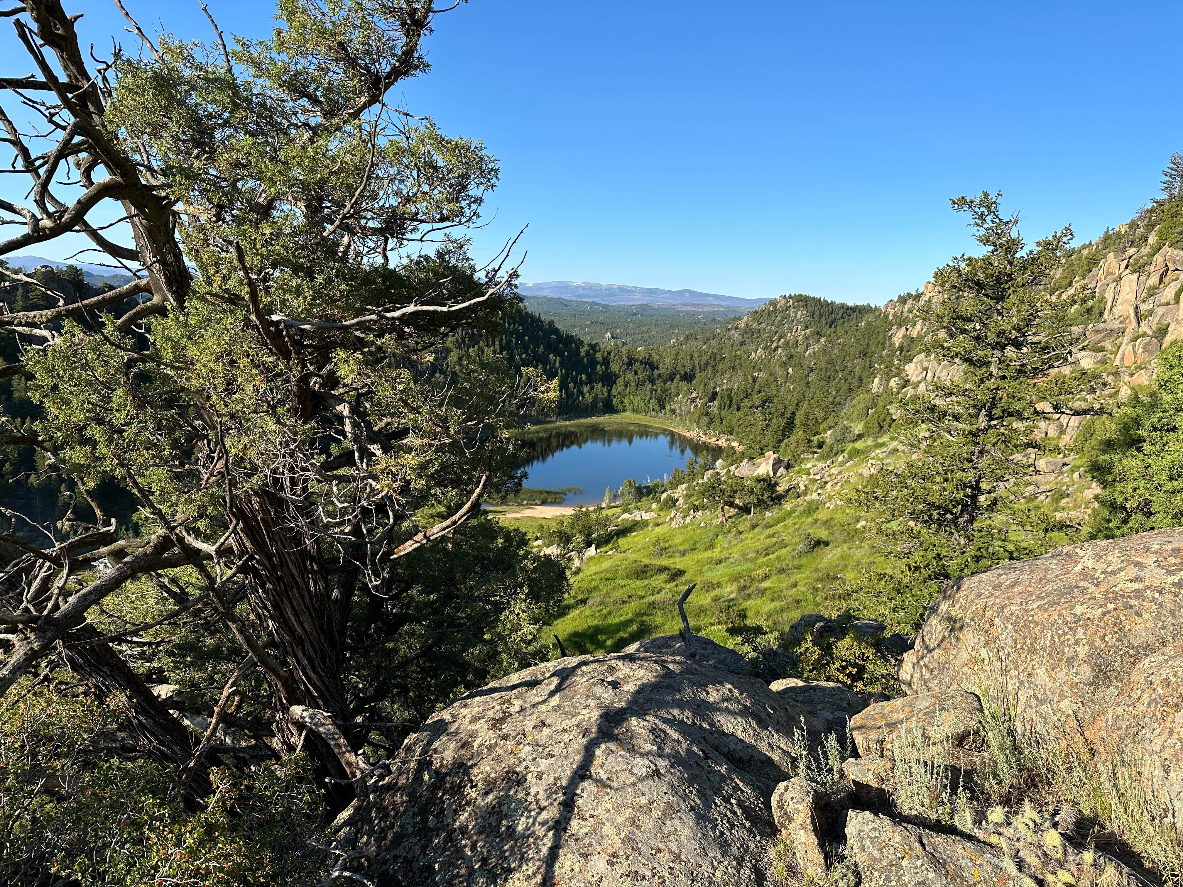 Michael E.'s photo of a dispersed camping area at Lost Lake Dispersed near Laporte, CO