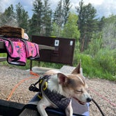 Review photo of Dutch George Campground by Jinho T., July 24, 2023