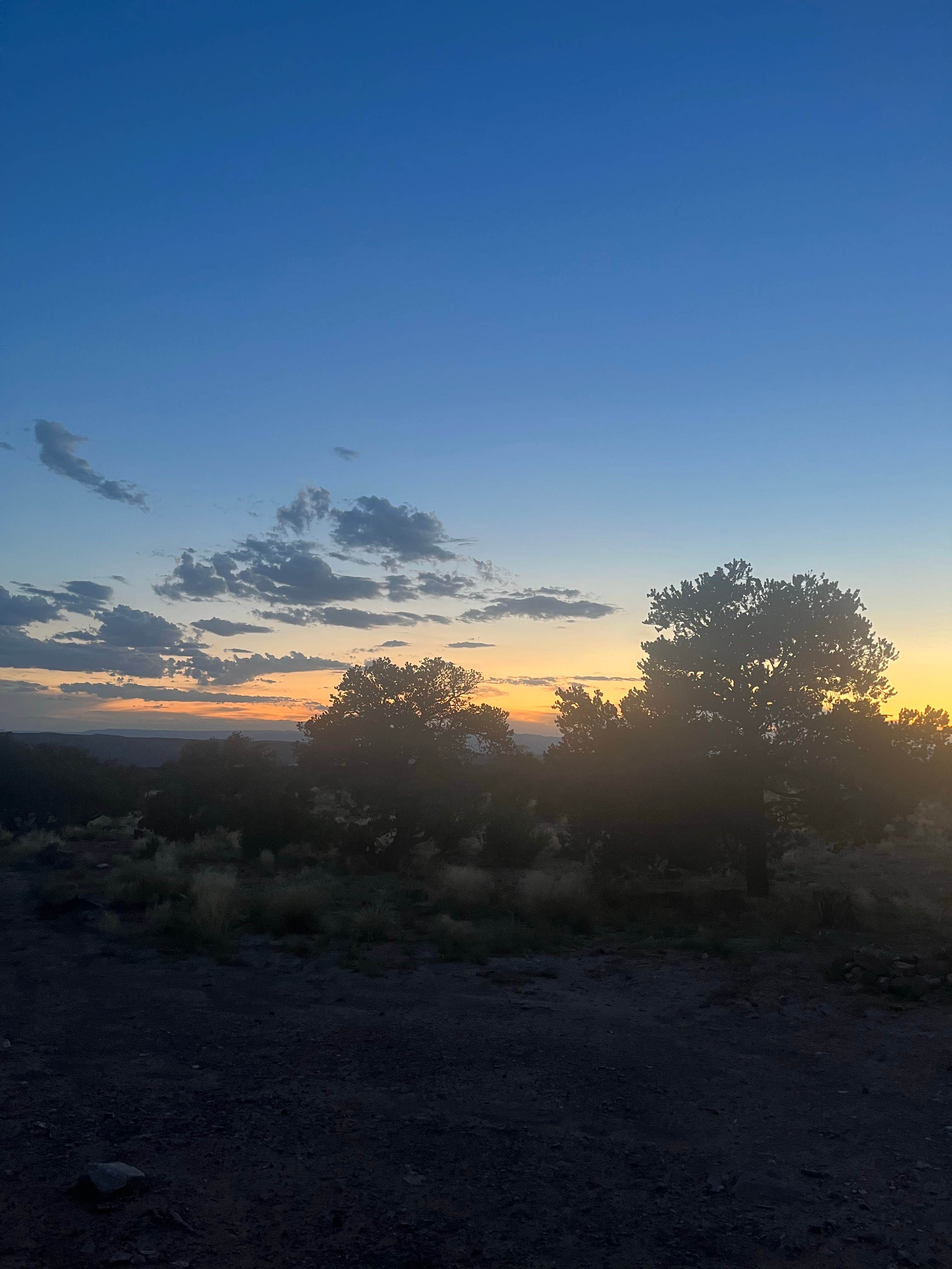 Marlene V.'s photo of a dispersed camping area at Horse Canyon Road - Dispersed Open Area near Price, UT