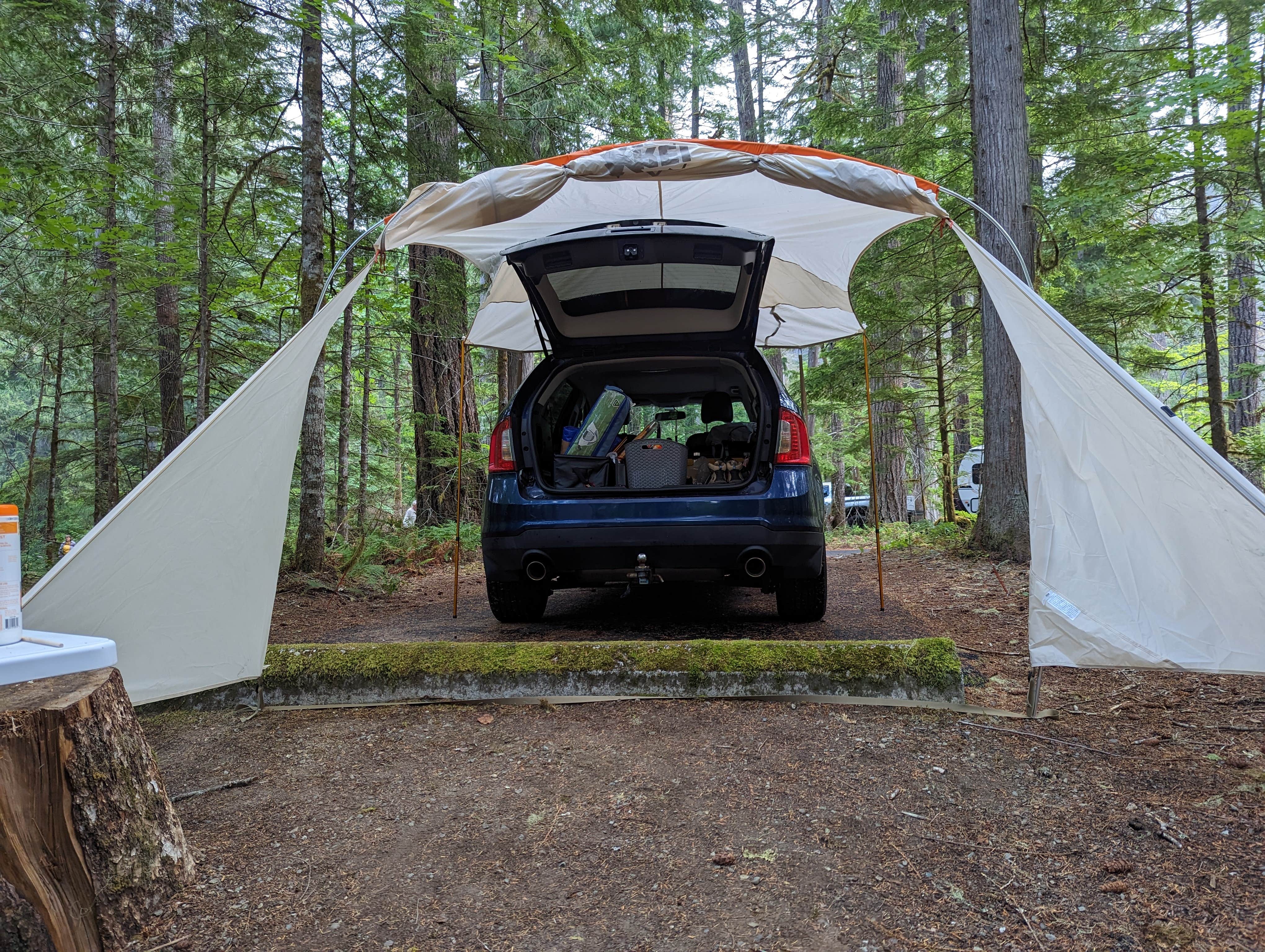 Kelly P.'s photo at Newhalem Creek Campground — Ross Lake National Recreation Area near Marblemount, WA