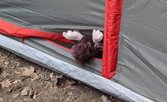 Brett B.'s photo at Lieber State Recreation Area Campground near Cecil M. Harden Lake