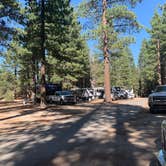 Review photo of Tahoe Valley Campground by Jennifer H., July 24, 2023