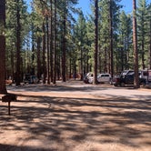 Review photo of Tahoe Valley Campground by Jennifer H., July 24, 2023