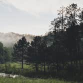 Review photo of Blue Bell Campground — Custer State Park by Cari E., July 24, 2023