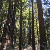 Review photo of Florence Keller Regional Park by Brianna D., July 24, 2023