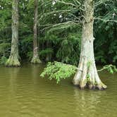 Review photo of Trap Pond State Park Campground by Jessica D., July 24, 2023