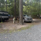 Review photo of Trap Pond State Park Campground by Jessica D., July 24, 2023