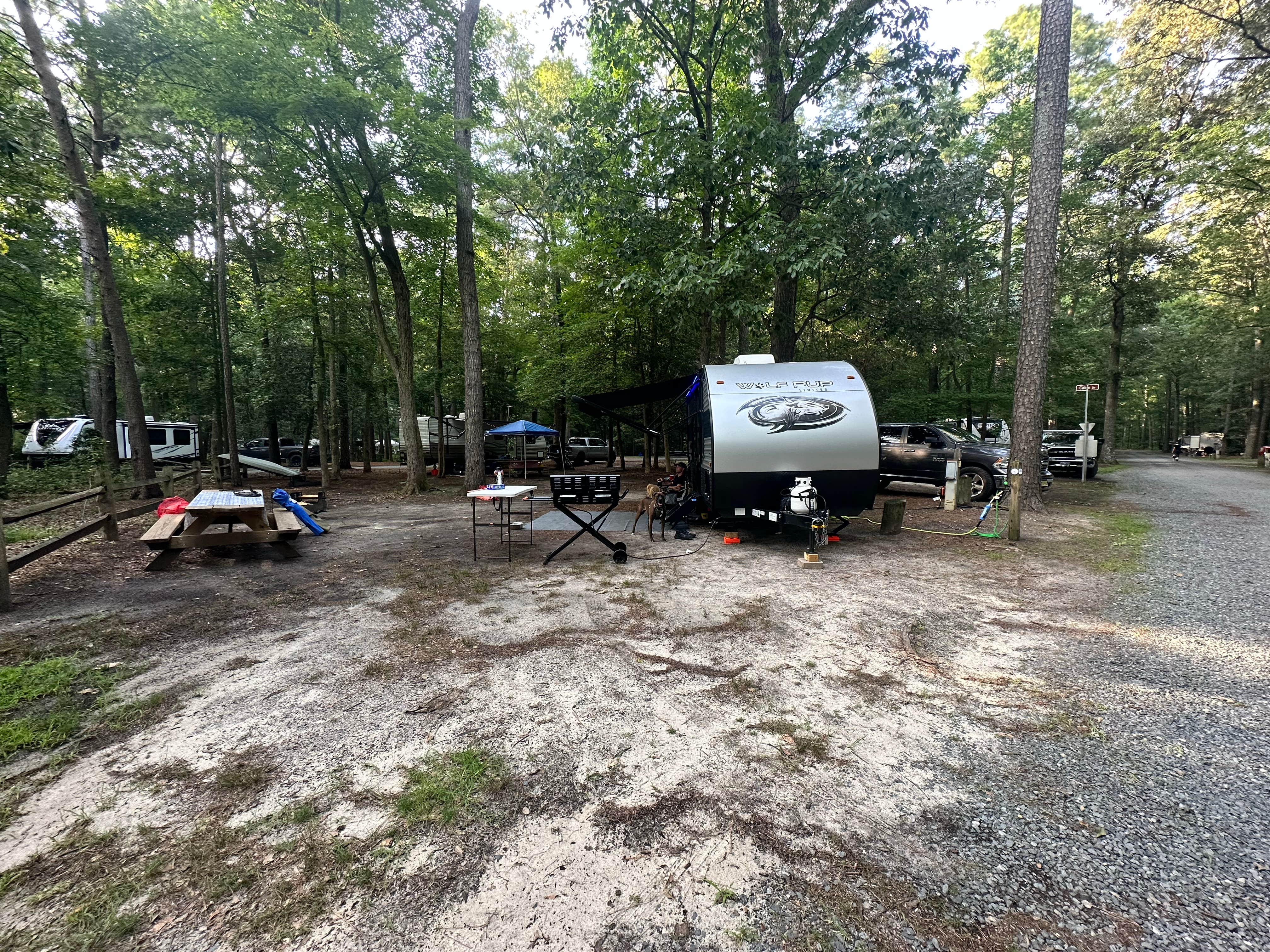 Jessica D.'s photo at Trap Pond State Park Campground near White Plains, MD