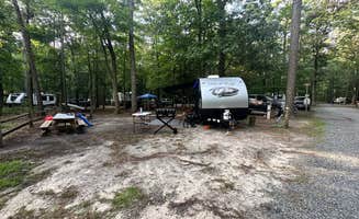 Jessica D.'s photo at Trap Pond State Park Campground near Seaford, DE