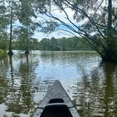 Review photo of Trap Pond State Park Campground by Jessica D., July 24, 2023