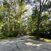 Review photo of Trap Pond State Park Campground by Jessica D., July 24, 2023