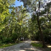 Review photo of Trap Pond State Park Campground by Jessica D., July 24, 2023