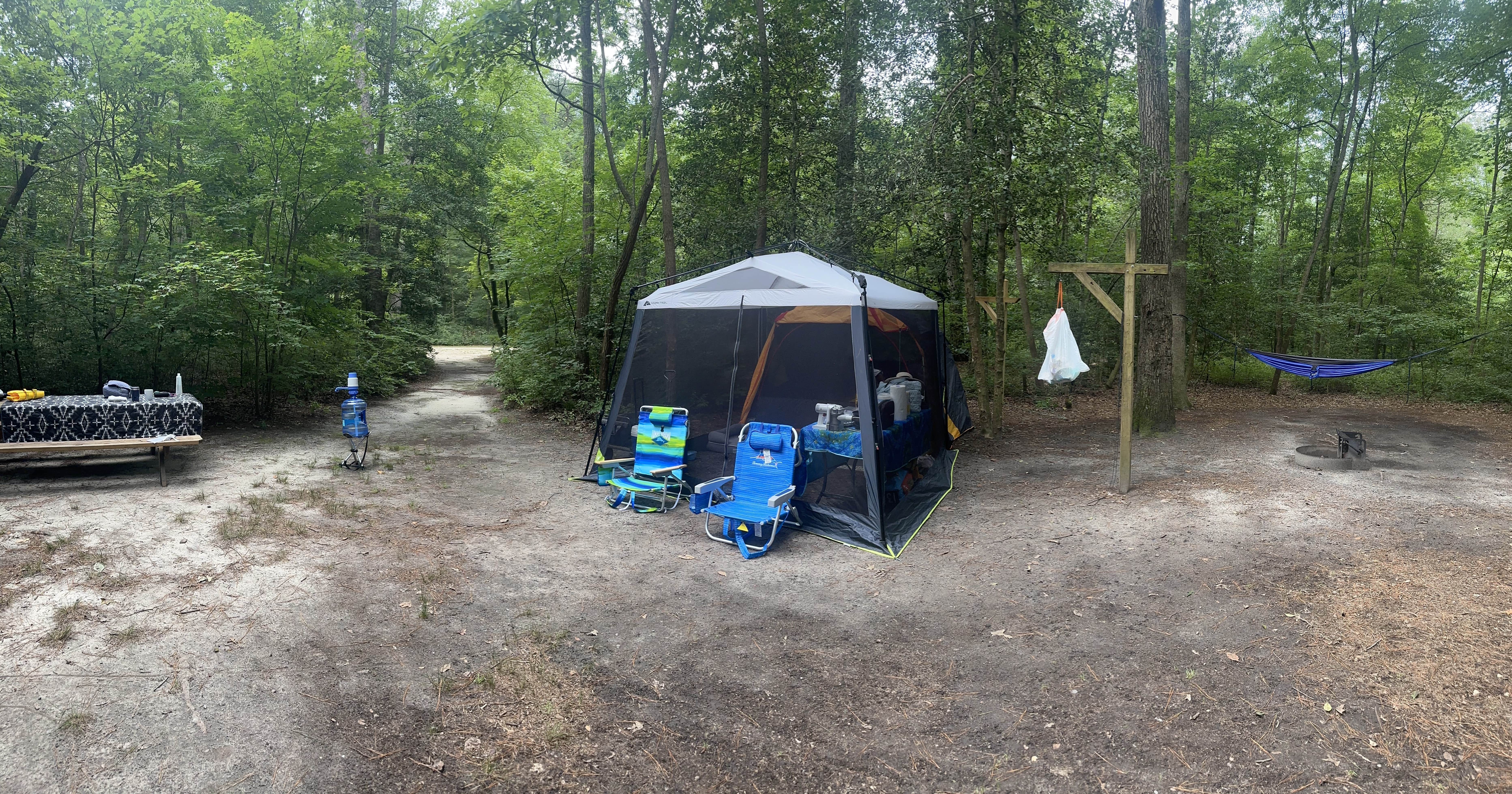 Jessica D.'s photo at Trap Pond State Park Campground near Laurel, DE