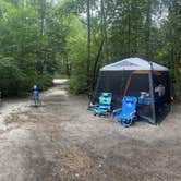 Review photo of Trap Pond State Park Campground by Jessica D., July 24, 2023