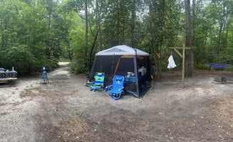 Jessica D.'s photo at Trap Pond State Park Campground near Seaford, DE