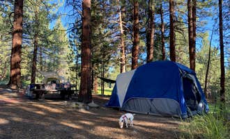 Camping near Fossil Falls Campground: Sequoia National Forest Fish Creek Campground, Johnsondale, California