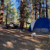 Review photo of Sequoia National Forest Fish Creek Campground by Whitney , July 24, 2023