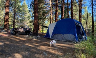 Camping near Blackrock Trailhead: Sequoia National Forest Fish Creek Campground, Johnsondale, California