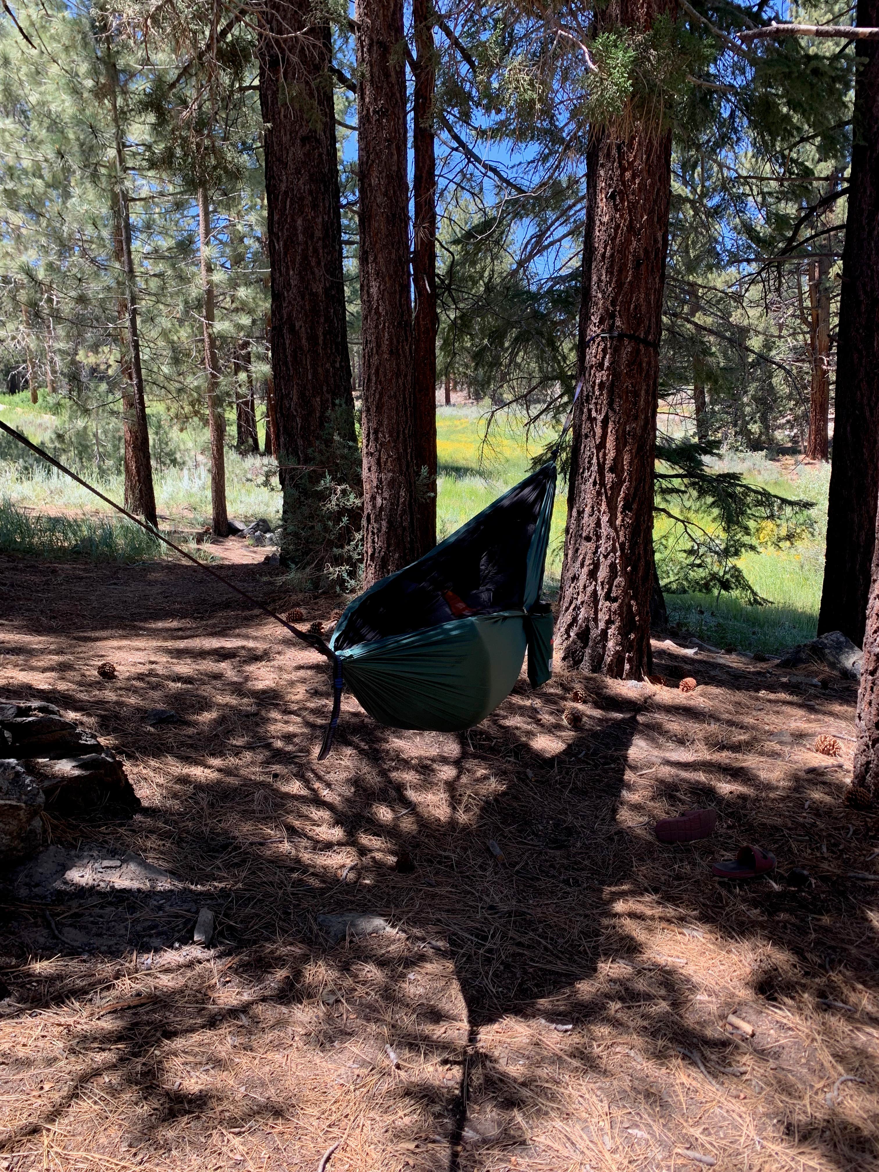 Camper-submitted photo at Sequoia National Forest Fish Creek Campground near Little Lake, CA