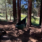 Review photo of Sequoia National Forest Fish Creek Campground by Whitney , July 24, 2023