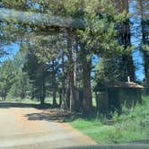 Review photo of Sequoia National Forest Fish Creek Campground by Whitney , July 24, 2023