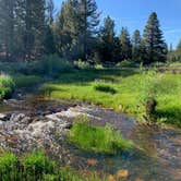 Review photo of Sequoia National Forest Fish Creek Campground by Whitney , July 24, 2023