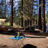 Review photo of Sequoia National Forest Fish Creek Campground by Whitney , July 24, 2023