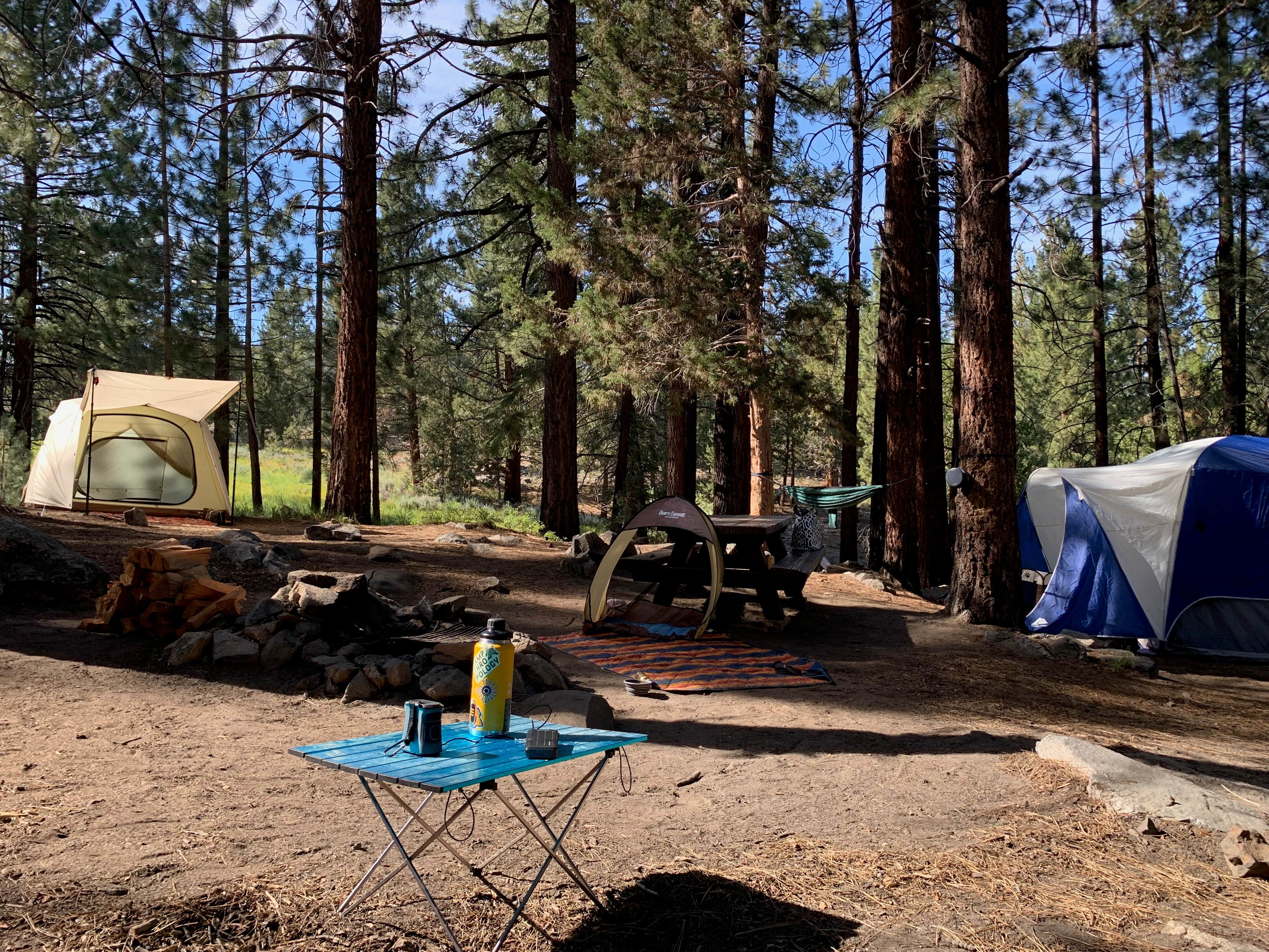 Camper submitted image from Sequoia National Forest Fish Creek Campground - 4