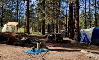 Whitney's photo at Sequoia National Forest Fish Creek Campground near Little Lake, CA