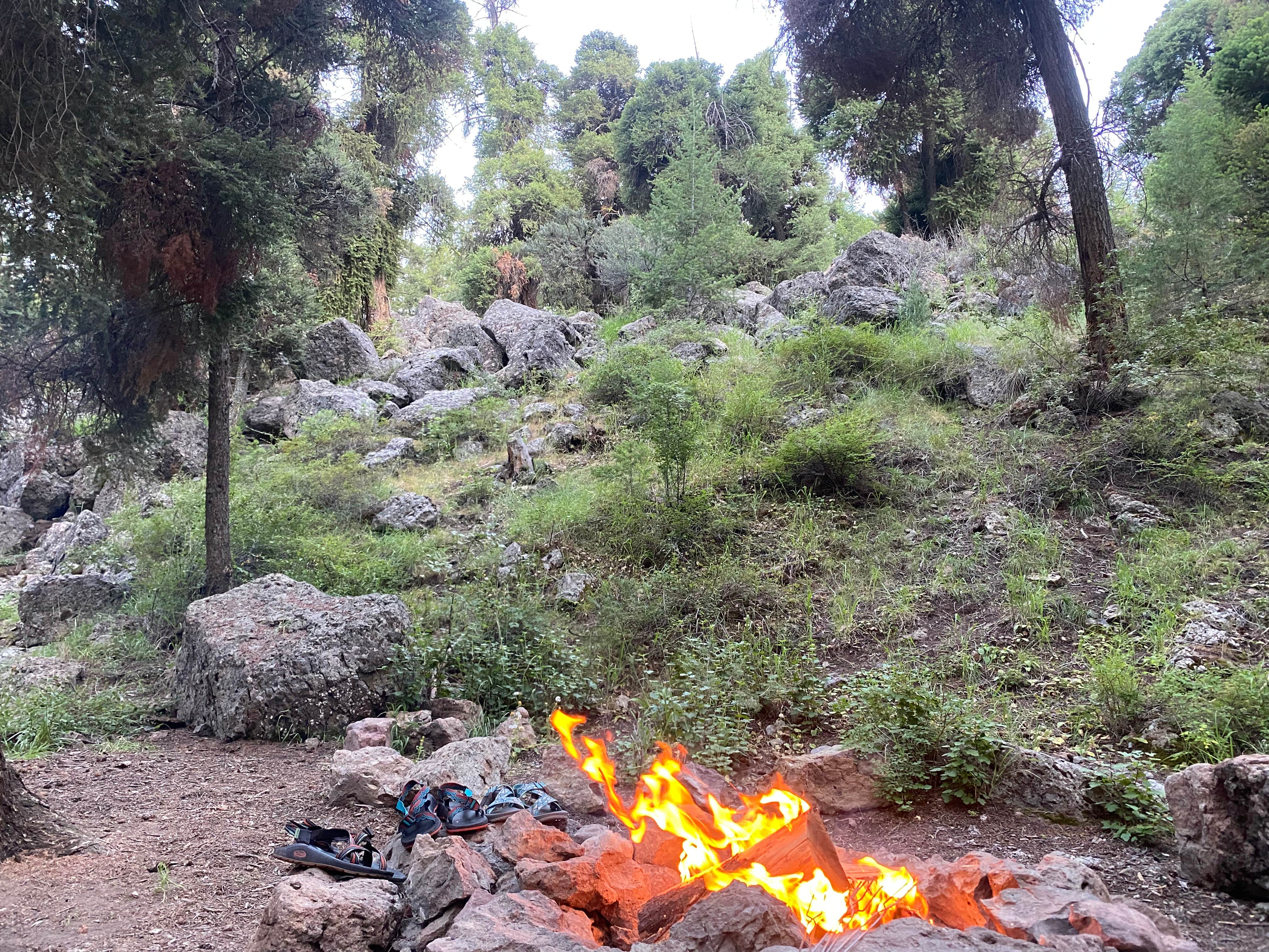 Camper-submitted photo at Williams Lake Campground near Cobalt, ID