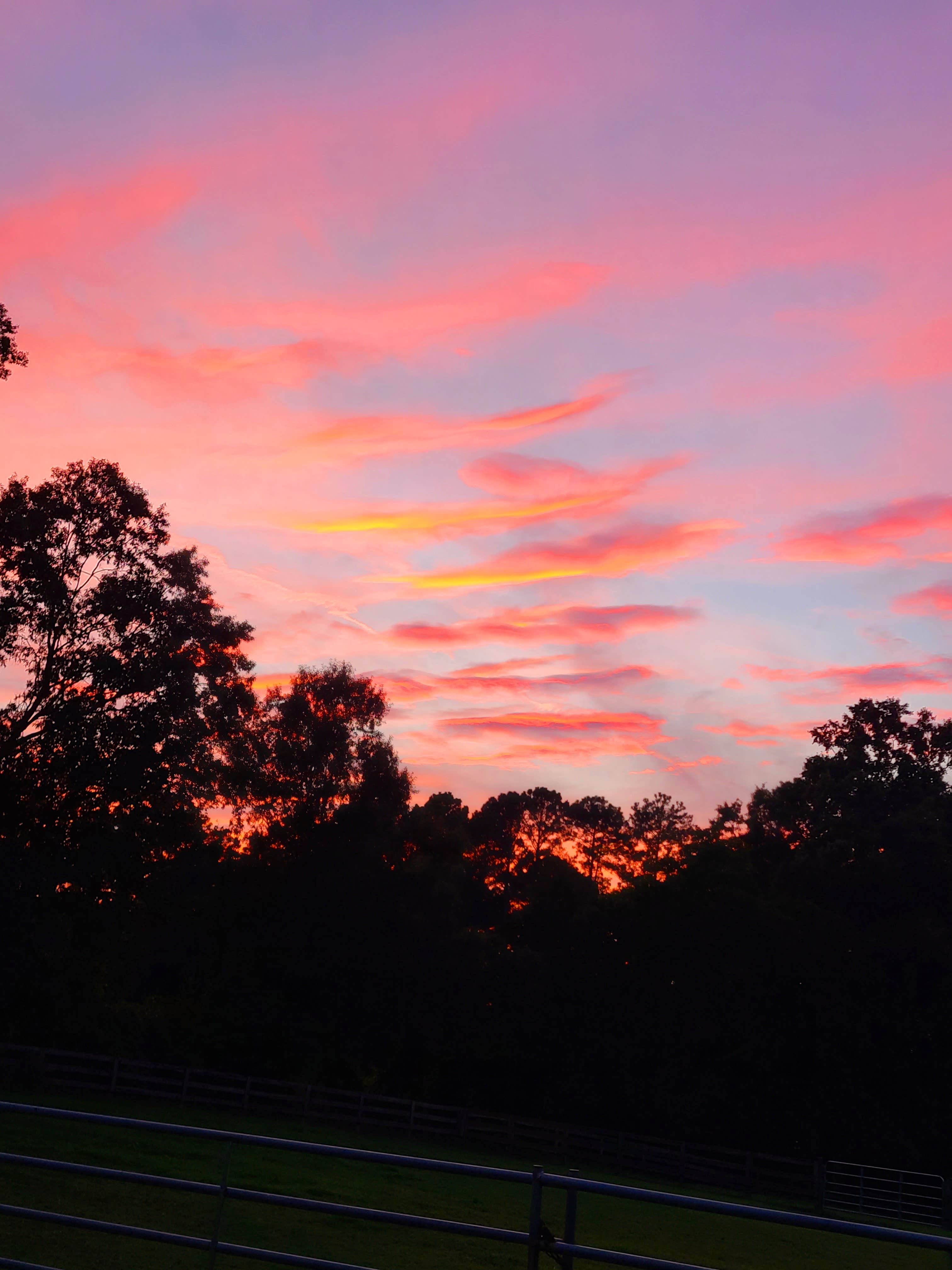 Camper-submitted photo at Idlewild Farm Stays near Fayetteville, NC