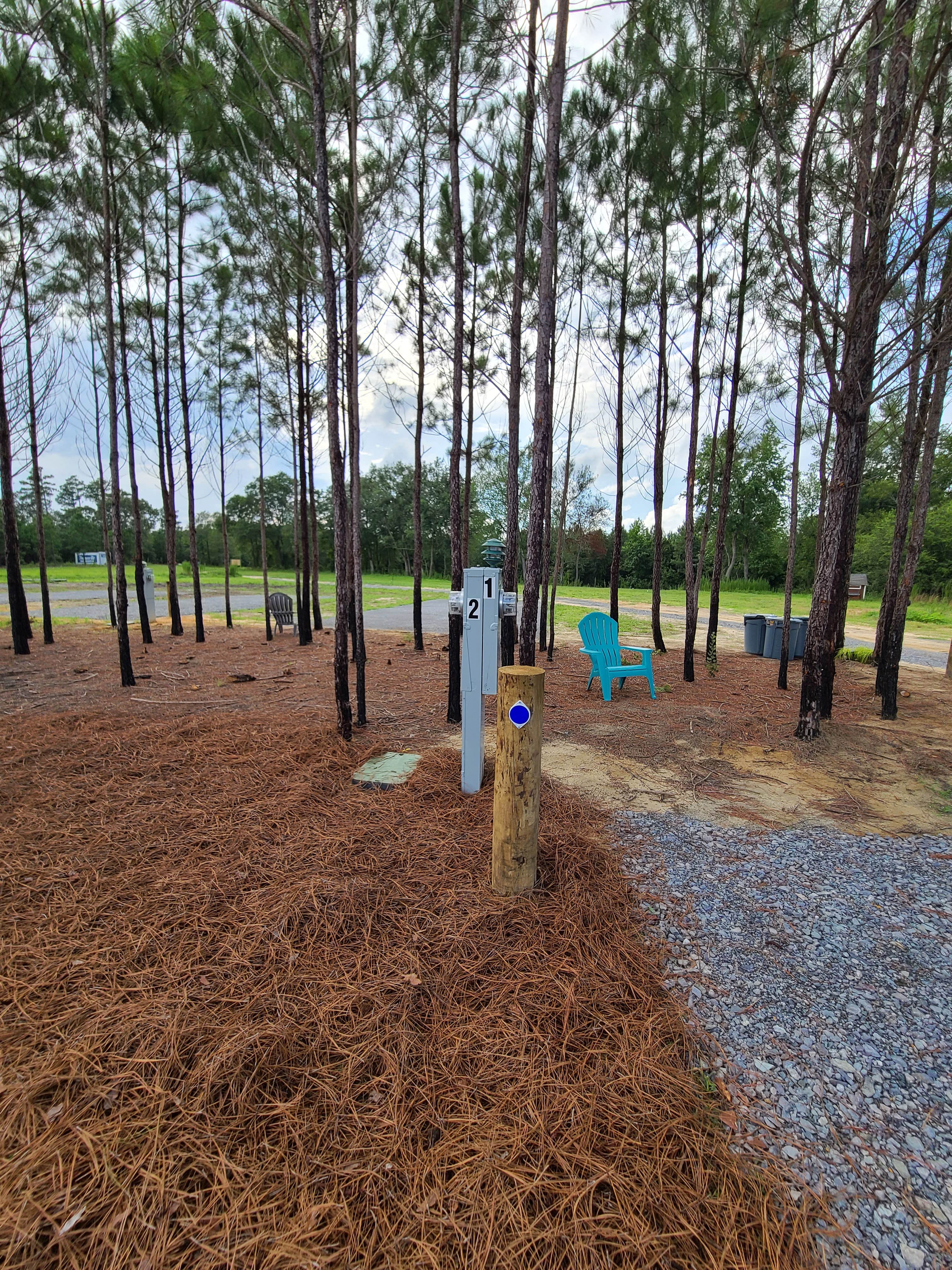 Camper-submitted photo at Idlewild Farm Stays near Fayetteville, NC