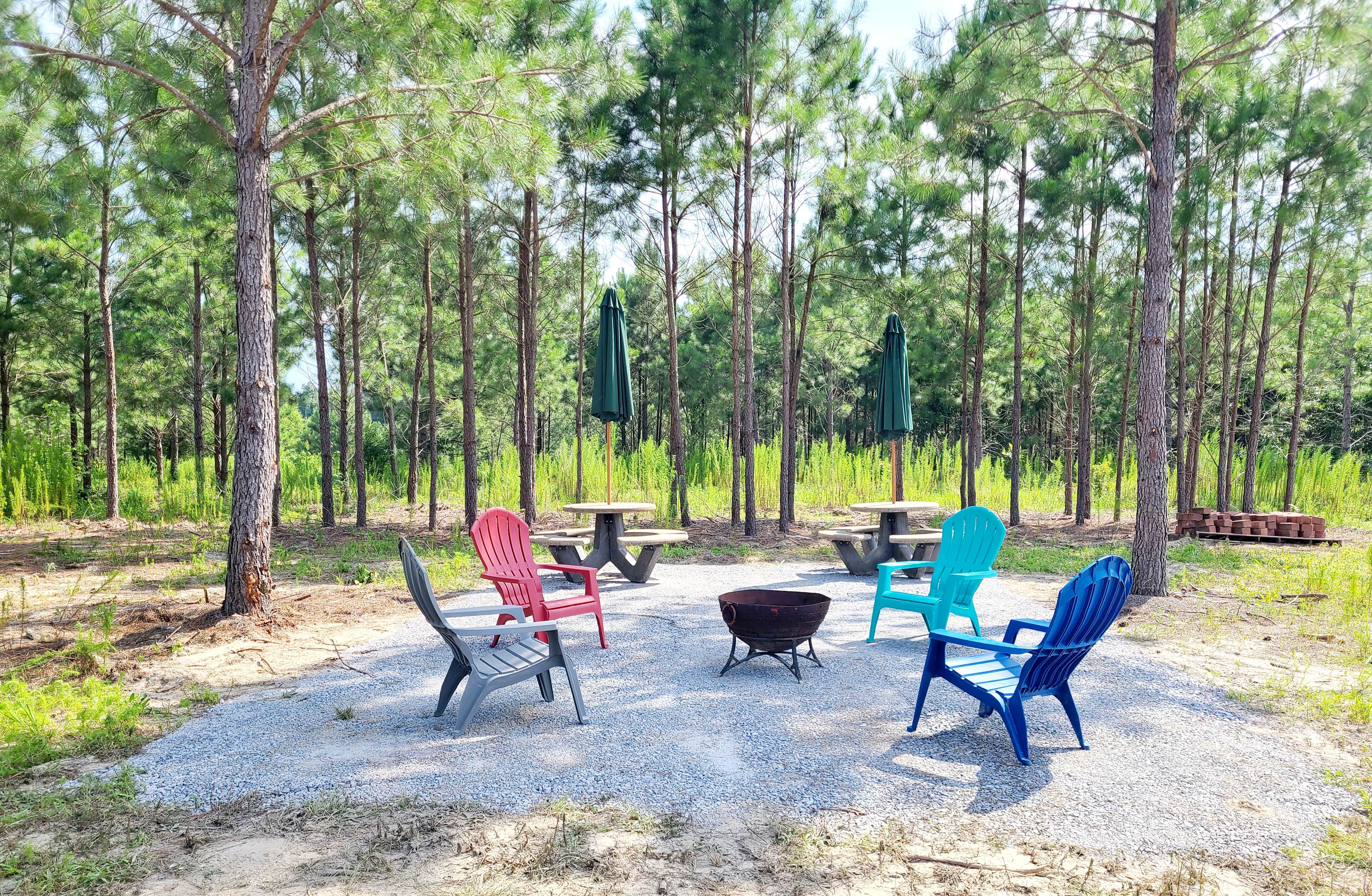 Michelle M.'s photo at Idlewild Farm Stays near Rockingham, NC