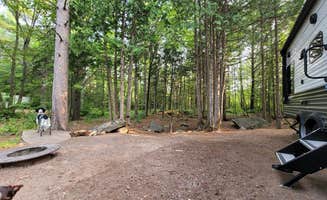Greg S.'s photo of camping with pets at Hancock Recreation Area Beach & Campground near Copper Harbor, MI