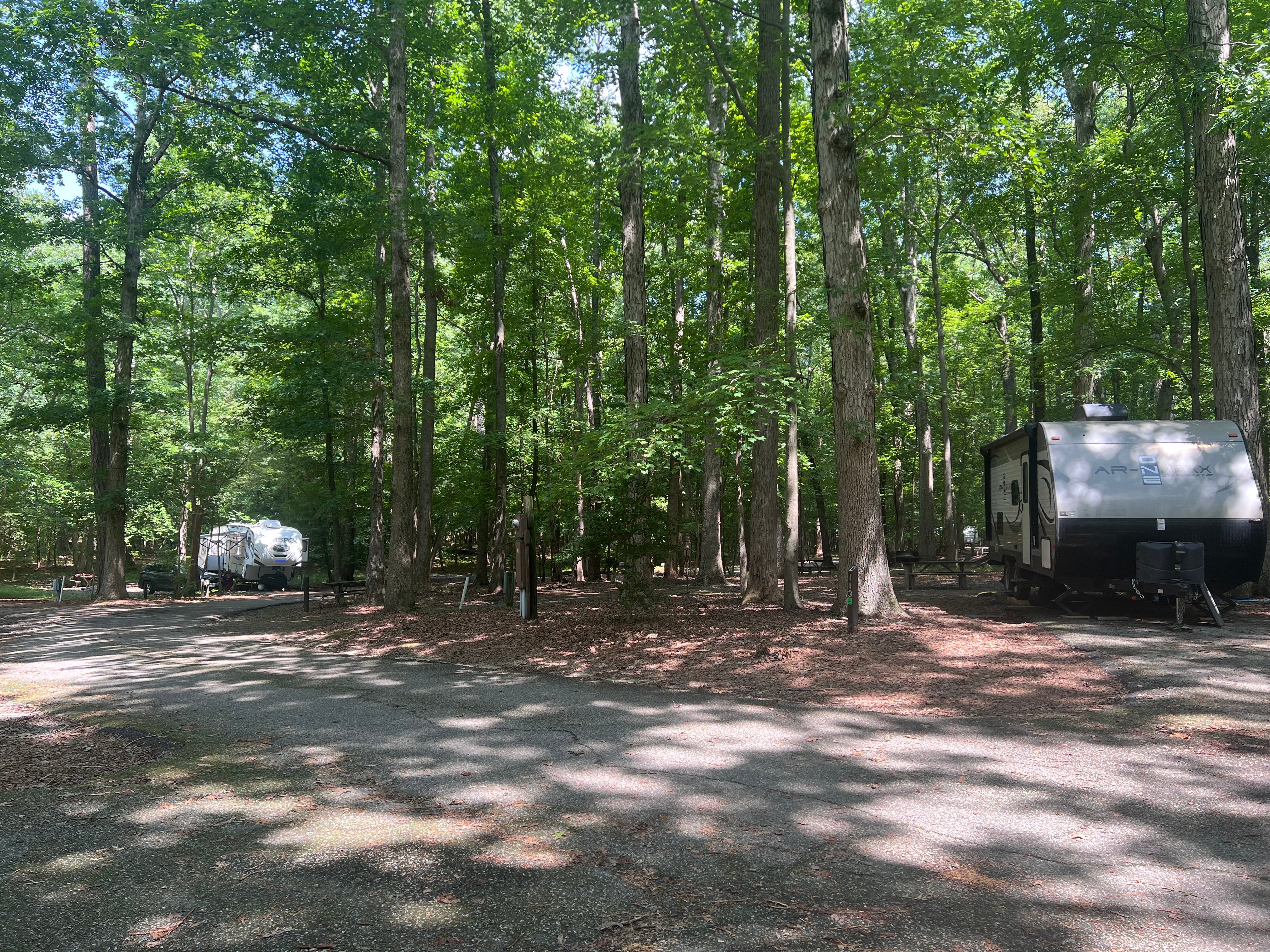 Camper submitted image from Newport News Park Campground - 1