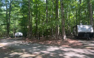 ania A.'s photo at Newport News Park near Jamestown, VA