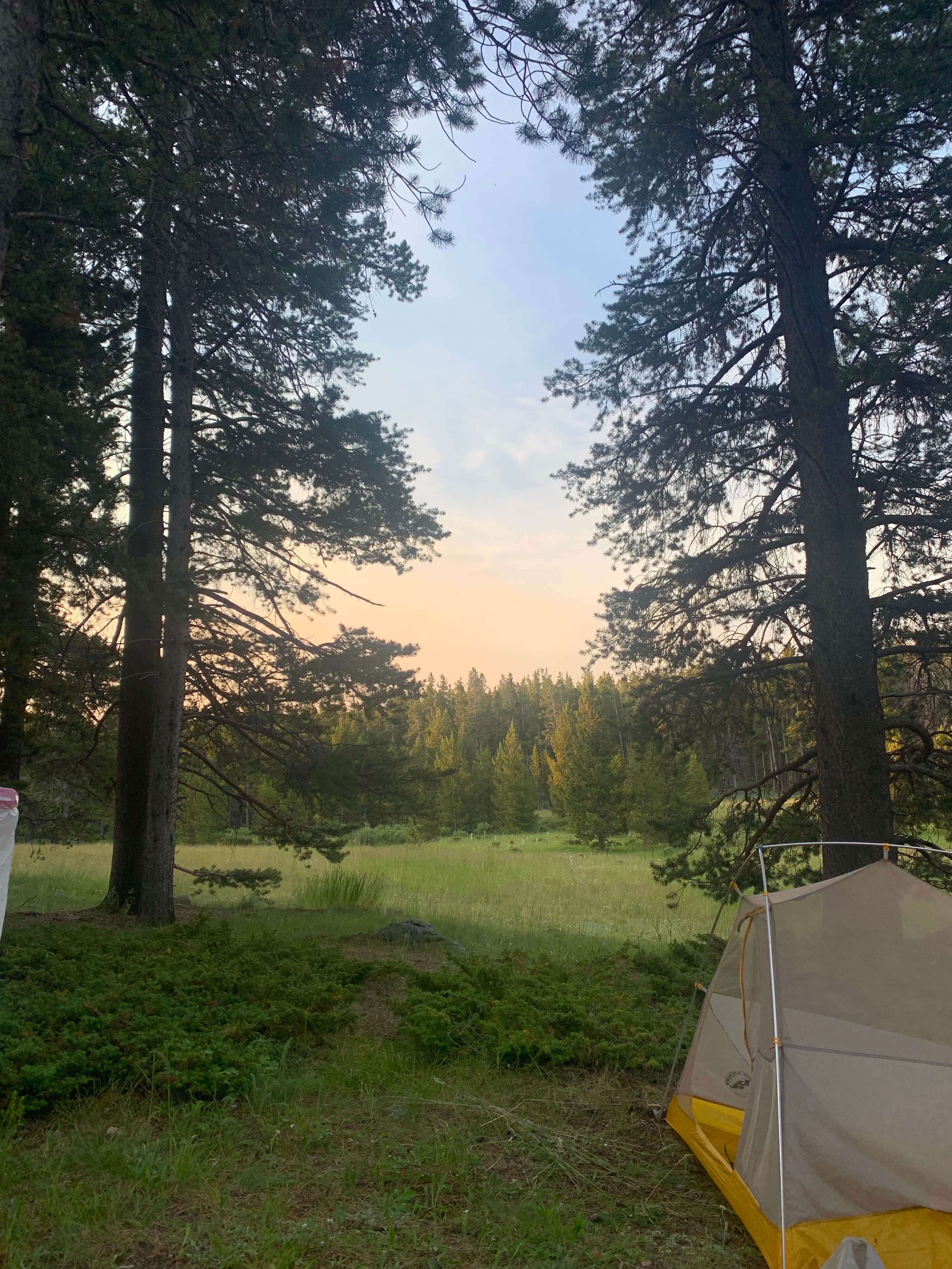 Camper submitted image from Canyon Creek Road Dispersed Camping - 3