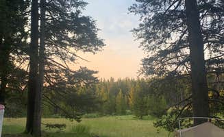 Hayden S.'s photo of a dispersed camping area at Canyon Creek Road Dispersed Camping near Big Horn, WY