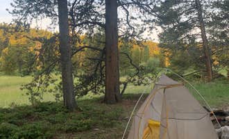 Camping near Elgin Park Trailhead: Canyon Creek Road Dispersed Camping, Buffalo, Wyoming