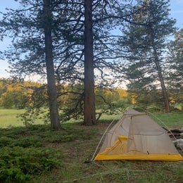 Canyon Creek Road Dispersed Camping