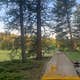 Canyon Creek Road Dispersed Camping